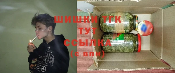 индика Беломорск