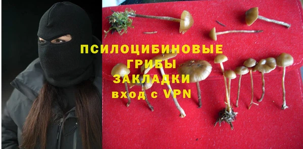 дживик Богородск