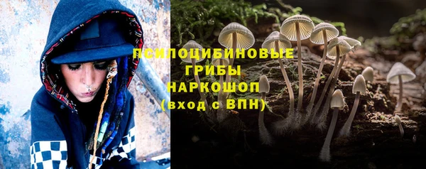 прущая мука Богданович