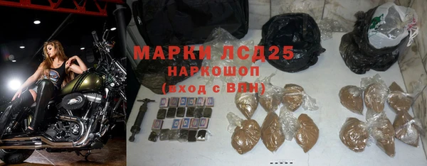 индика Беломорск