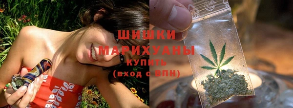 молекула духа Белоозёрский