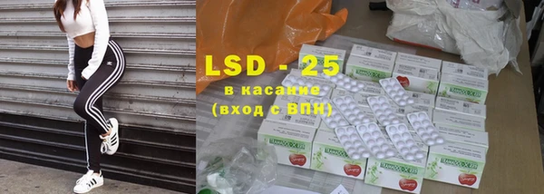 индика Беломорск