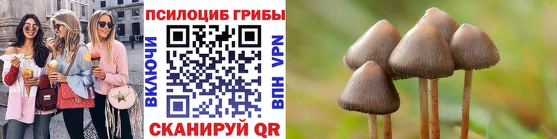 blacksprut онион  Минусинск  Галлюциногенные грибы GOLDEN TEACHER 